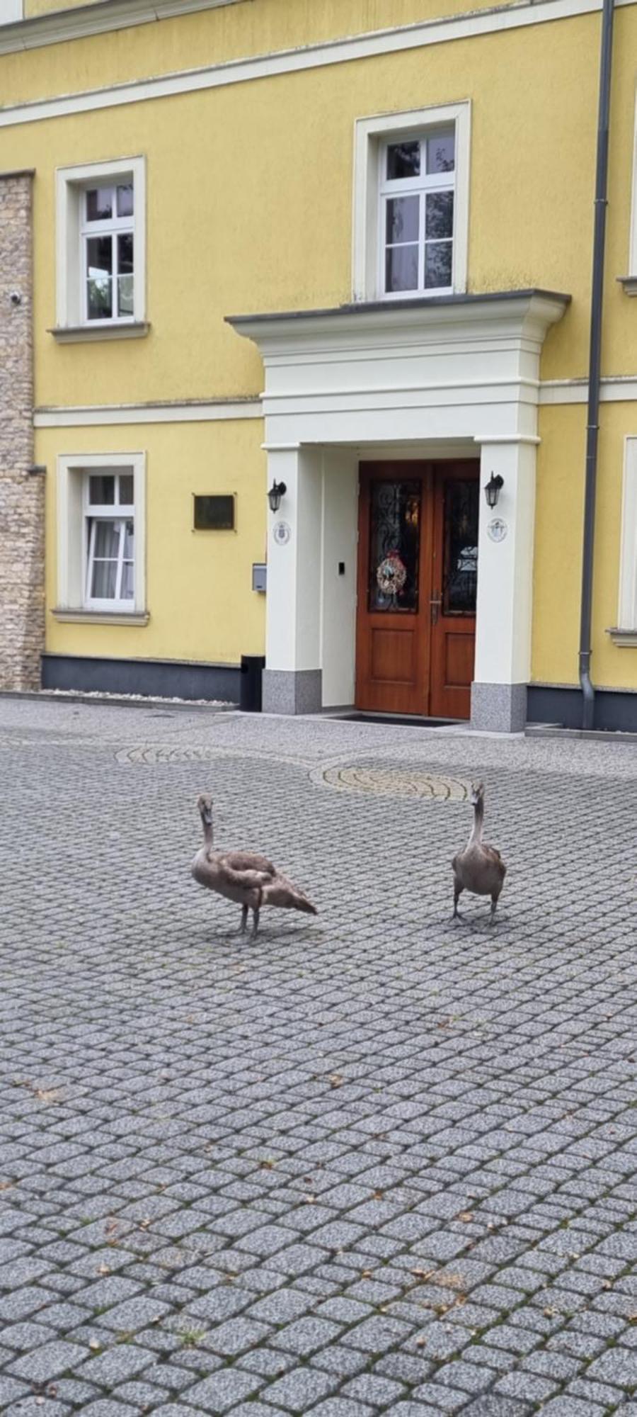 Palac Lucja Bb Zakrzow  Bagian luar foto