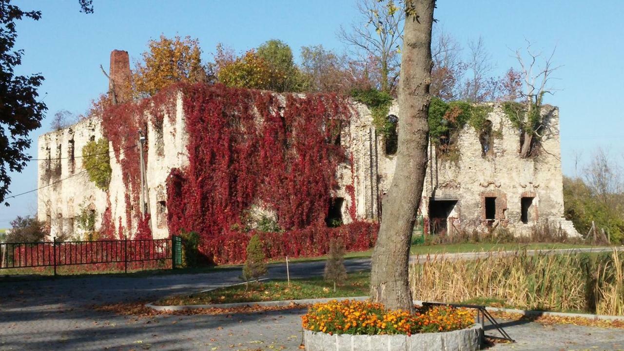 Palac Lucja Bb Zakrzow  Bagian luar foto