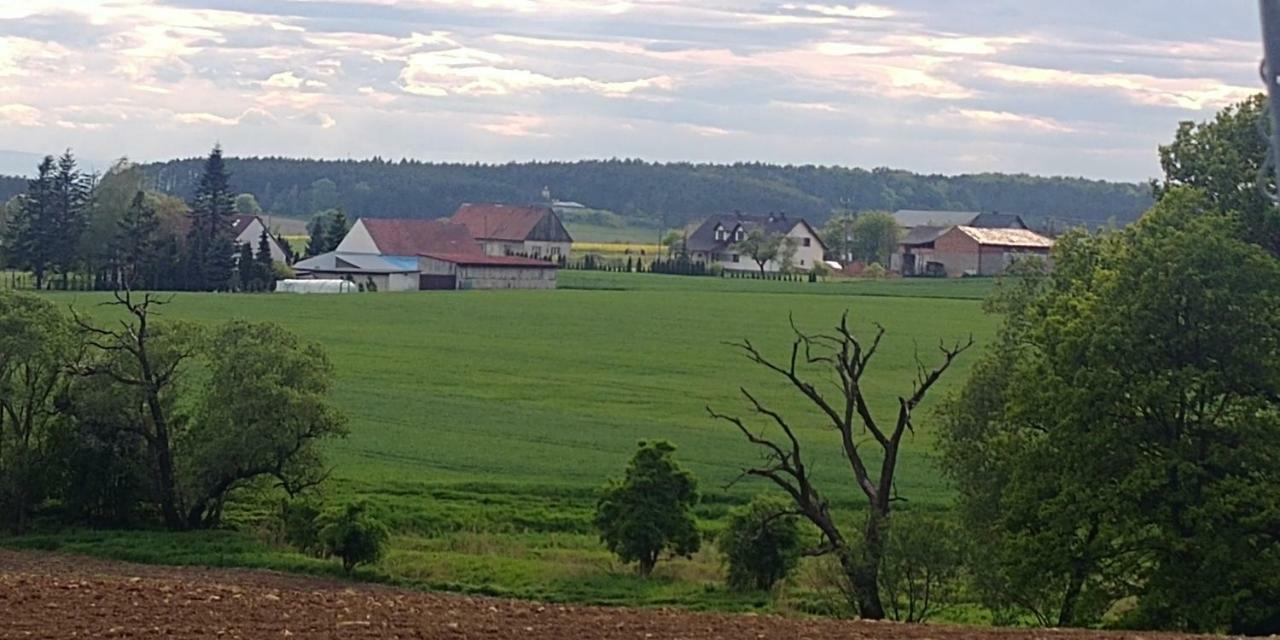 Palac Lucja Bb Zakrzow  Bagian luar foto